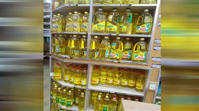 محافظ الدقهلية يحيل 54 مخالفة تموينية متنوعة إلى النيابة العامة