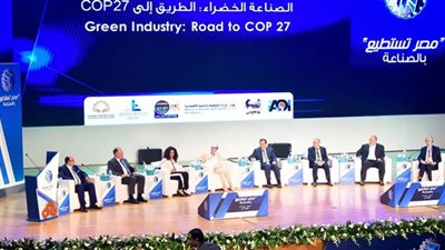 خبير مصري بإستراليا: مصر تتمتع بفرص كبيرة لإنتاج الأخشاب والورق من المخلفات الزراعية