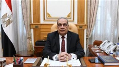 وزير الإنتاج الحربي: نتعاون مع علمائنا بالخارج لتصميم سيارة كهربائية مصرية