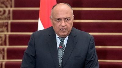 وزير الخارجية: الدبلوماسية المصرية قادرة على التأثير والتفاعل إقليميًا ودوليًا