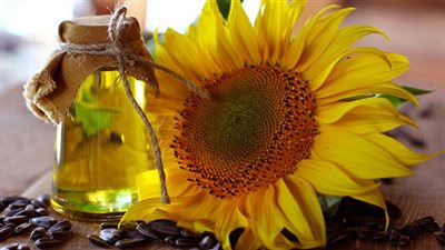 يعزز صحة القلب.. فوائد زيت عباد الشمس