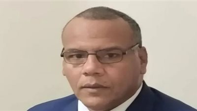 اقتصادي يوضح تأثير رفع الدولار الجمركي على الأسعار