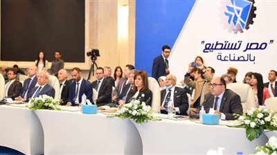 رئيس H2 Industries: استضافة مصر لمؤتمر تغير المناخ يأتي في توقيت هام