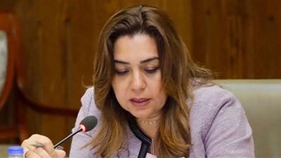 محافظ دمياط تناقش عدد من طلبات الإحاطة بلجنة الإدارة المحلية بمجلس النواب