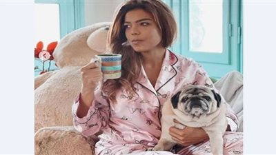 ناهد السباعي تطالب بالرفق بالحيوان: 