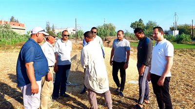 تحرير ١٧٤ محضرًا تموينيًا ضد مزارعين لعدم توريد ٥٩٢ طن قمح