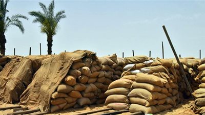 محافظ أسيوط: 149 ألف طن قمح محلي تم توريدها للشون والصوامع بالمراكز حتى الآن