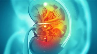 4 عادات شائعة يمكن أن تؤذي كليتيك