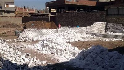 حملة لازالة التعديات على الأراضي الزراعية بالمحلة