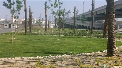 حملات نظافة وتجميل موسعة ورفع كفاءة الانارة