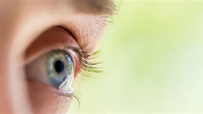 نوع توت يحمي من العمى ويحافظ على صحة العين للمسنين