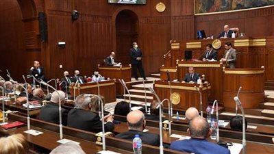 بحضور وزيرة التخطيط .. صحة الشيوخ تستكمل مناقشة القضية السكانية (اليوم)