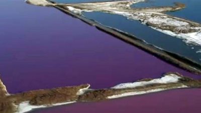 فيديو.. بحيرة صينية تتحول إلى اللون الوردي لهذا السبب