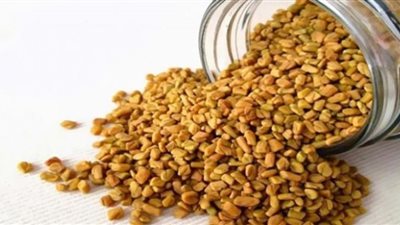 فوائد الحلبة بعد الولادة .. ومتى يُحذر تناولها
