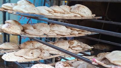 محافظ الدقهلية يحيل 71 مخالفة تموينية متنوعة إلى النيابة العامة