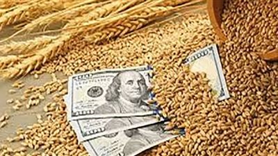 بسبب الحرب الروسية الأوكرانية.. أزمة القمح تهدد العالم بمجاعة