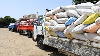محلية طهطا: ضبط 7 طن قمح قبل بيعها بالسوق السوداء
