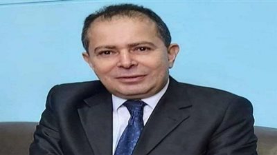 أستاذ اقتصاد: السيسي ينتصر لـ العدالة الاجتماعية.. وقراراته تحمي من موجة الغلاء المقبلة