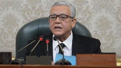 مجلس النواب يفتتح جلساته العامة بحضور وزيرة التجارة والصناعة