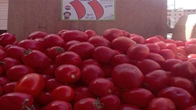 انخفاض الأسعار بأسواق الخضروات والفاكهة بالفيوم