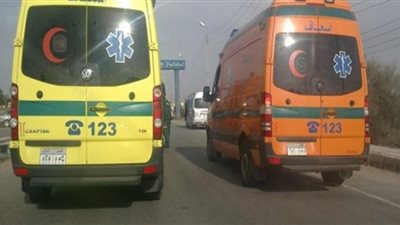 الاستماع لأقوال أسرة شاب قتله زميله وقطع جثته بصاروخ في أكتوبر