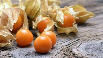 تعرف على فوائد الحرنكش المذهلة للحوامل وكبار السن