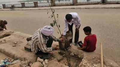 تشجير وزراعة كورنيش النيل وكوبري حلاوة بمدينة دشنا