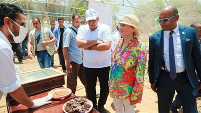 ياسمين فؤاد: حماية البيئة والتنمية وجهان لا تعارض بينهما