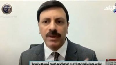 أستاذ اقتصاد: التجارة الحرة بين مصر وكوريا نقلة كبرى في العلاقات الثنائية (فيديو)