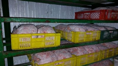 ضبط 265 كيلو لحوم ودواجن مجهولة المصدر بالشرقية