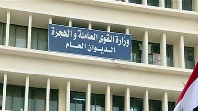 ننشر حصاد وزارة القوى العاملة في أسبوع