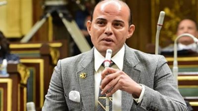 القطامي يواجه وزيرة البيئة بثلاث أزمات تؤثر على المواطنين