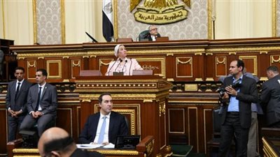 فى مجلس النواب.. ياسمين فؤاد تستعرض جهود تطوير قطاع البيئة بمصر