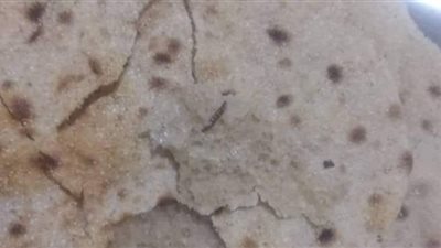 محافظ الإسماعيلية يوجه بتكثيف الحملات الرقابية على المخابز البلدية .
