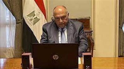 شكري يتوجه إلى مسقط لترأس اللجنة المشتركة بين مصر وعمان