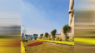 شاهد.. جزيرة طريق المطار تتزين بالنباتات النادرة وزهور مقاومة للتلوث