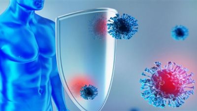 لتفادي الإصابة بالعدوى.. مواد غذائية تدعم جهاز المناعة ضد كورونا