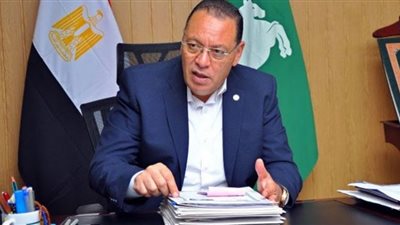 محافظ الشرقية: توريد 614 ألف طن قمح للصوامع والشون