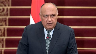 وزير الخارجية يلتقي السكرتيرة التنفيذية لاتفاقية الأمم المتحدة الإطارية لتغير المناخ