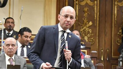 النائب عمرو هندى: ندعم جهود إصدار قانون السياحة والآثار