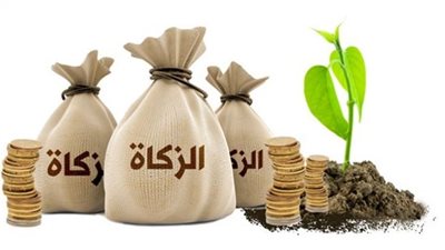 النصاب الشرعي الذي تجب فيه زكاة المال