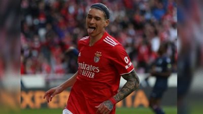 ليفربول يتحرك لضم جوهرة بنفيكا