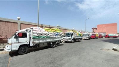 توريد ٣٦٧ ألف طن قمح لشون وصوامع البحيرة