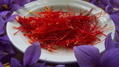 هل يساعد الزعفران في علاج العين ؟