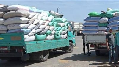 تحرير 14 محضرًا تموينيًا ببني سويف