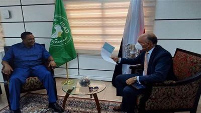 السفير المصري في جيبوتي يلتقي بالسكرتير التنفيذي لمنظمة الإيجاد