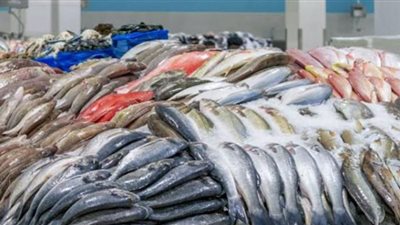 البلطي بـ 37 جنيهًا.. تباين أسعار الأسماك بالأسواق اليوم