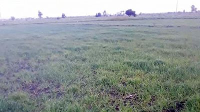 .. وأمين عام الفلاحين بدمياط ينصح بالابتعاد عن الطرق التقليدية