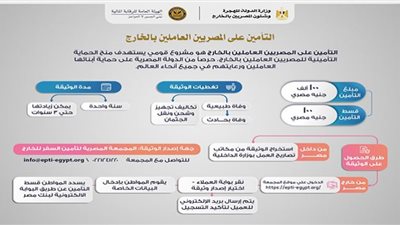 أكثر من 200 ألف مشترك في وثيقة تأمين المصريين بالخارج.. وطريقة جديدة للتسجيل