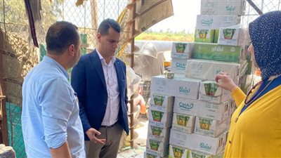 محافظ الدقهلية يحيل 62 مخالفة تموينية متنوعة إلى النيابة العامة